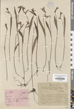 LE 01033858