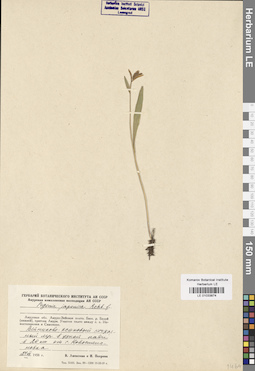 LE 01033874