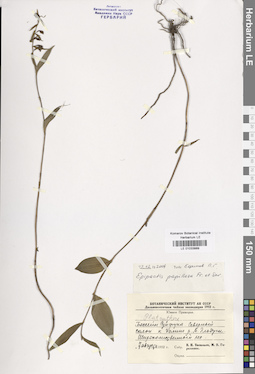 LE 01033889