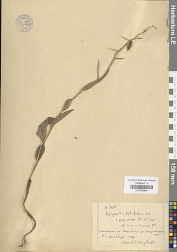 LE 01033891
