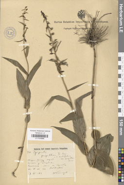 LE 01033898