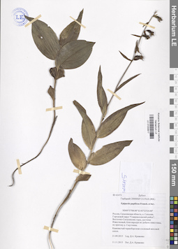 LE 01033917