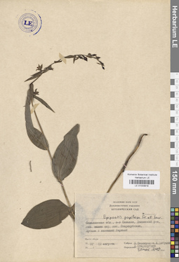 LE 01033919