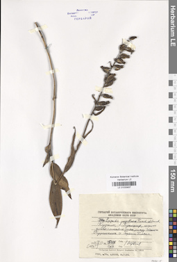 LE 01033937