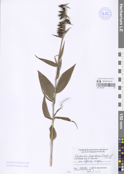 LE 01251758