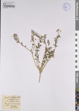 LE 01207166