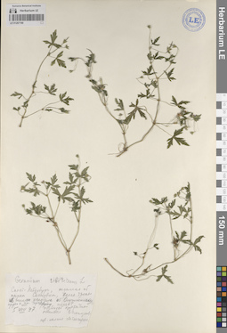 LE 01207190