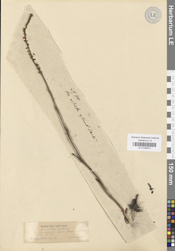 LE 01034013
