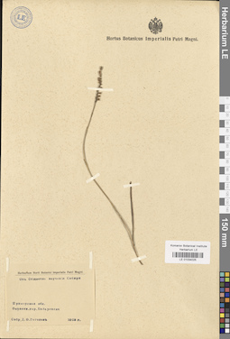 LE 01034025