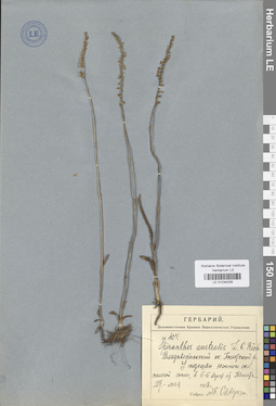 LE 01034026