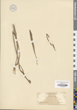 LE 01034027