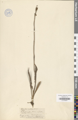 LE 01034041