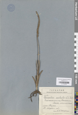 LE 01034050