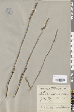 LE 01034051