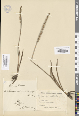 LE 01034053