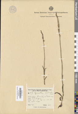 LE 01034056