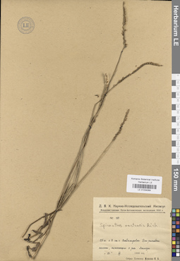 LE 01034064