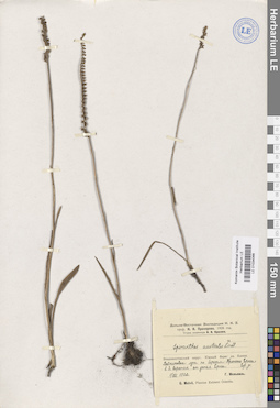 LE 01034066