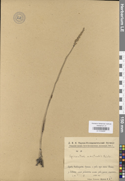 LE 01034067