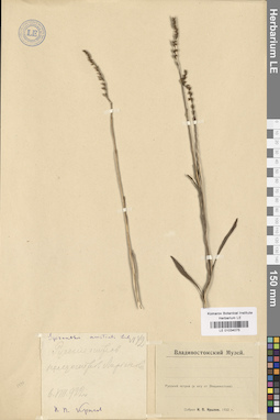 LE 01034075