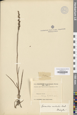 LE 01034083