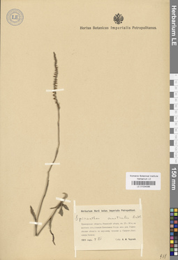 LE 01034086