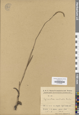 LE 01034090