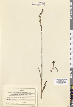 LE 01034091