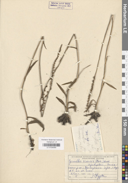 LE 01034093
