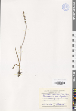 LE 01034094