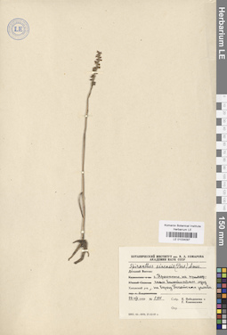 LE 01034097