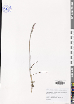 LE 01034102