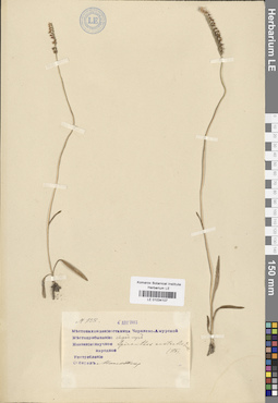 LE 01034107