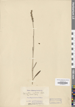 LE 01034113