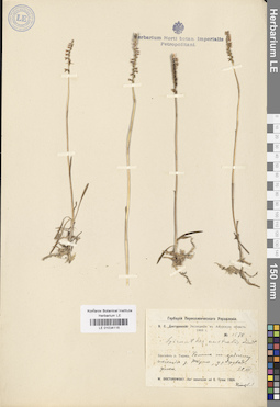 LE 01034115