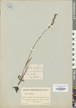 LE 01034116
