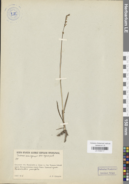 LE 01034117
