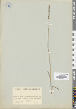 LE 01034119