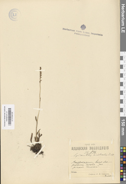 LE 01034125