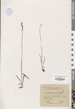 LE 01034143