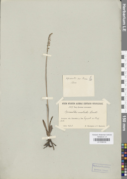 LE 01034144