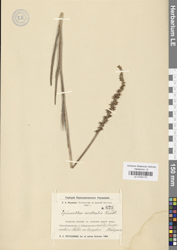 LE 01034170