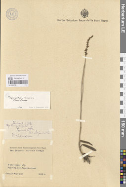 LE 01251789