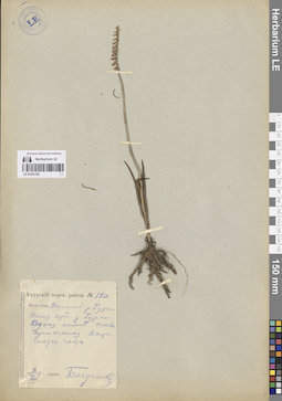 LE 01251793