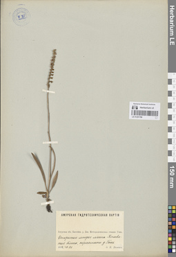 LE 01251796
