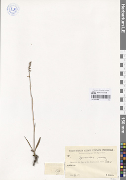 LE 01251805