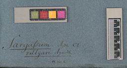 LE A0003758