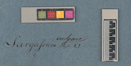 LE A0003771
