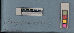 LE A0003818