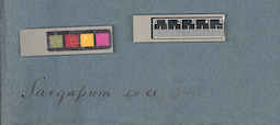 LE A0003856